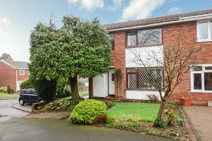 Photo 19- click for photo gallery